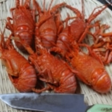 茹で方とさばき方 伊勢海老の塩ゆで レシピ 作り方 By Startrek 楽天レシピ 茹で方とさばき方 伊勢海老の塩ゆで レシピ 作り方 By Startrek 楽天レシピ